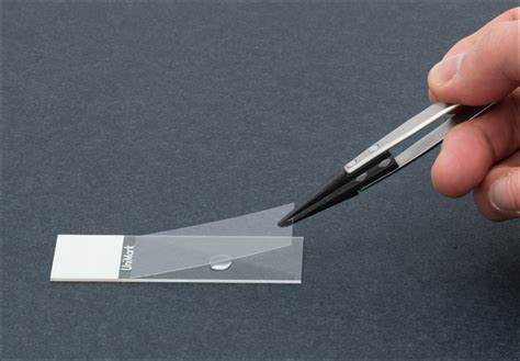 measure thickness inside microscope slide|microscope slides explained.